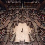 annas-archive-app-the-digital-library-revolution